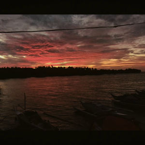 Chasing Sunset