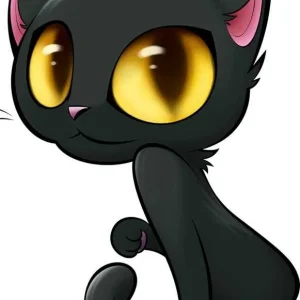 black cat