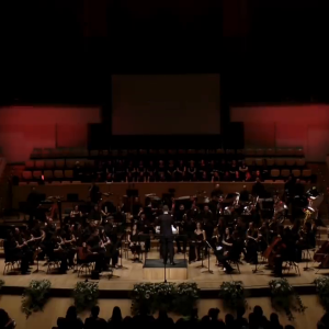 Street Fighter 2 Medley by G&S Orchestra