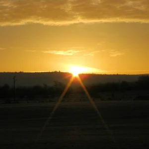 Sunshine_morning.jpg