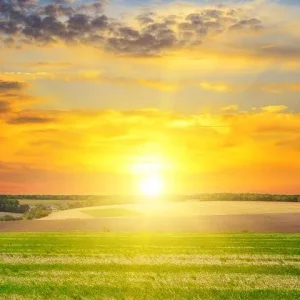 good-morning-sunshine1.jpg