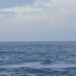 pexels-best-free-footage-6599475.mp4