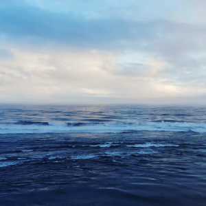 Sea - 33194.mp4