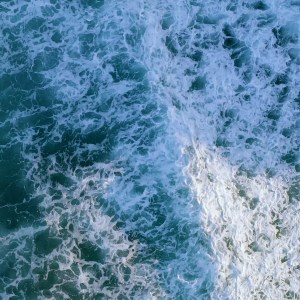 sea.mp4