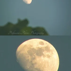 Moon phase