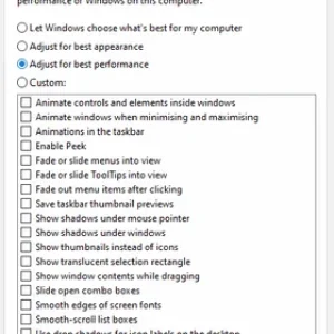 muo-windows-gaming-optimize-visual-effects.png