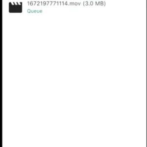 Gallery_1.png