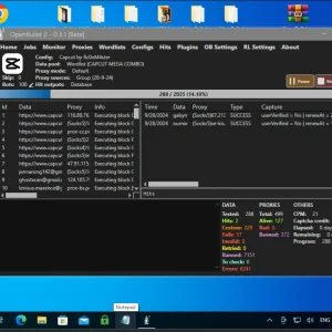 Screenshot 2024-09-29 001433.png