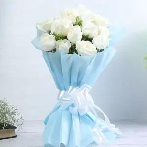 41b.webp