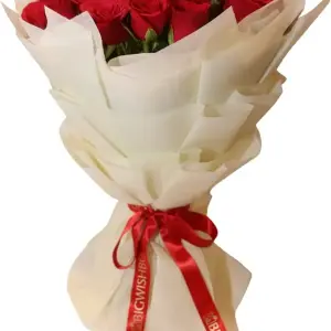 518DMMfr8tL._AC_UF1000,1000_QL80_.webp