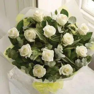 product17.webp