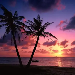 3269347-beach-sunset-wallpapers.webp