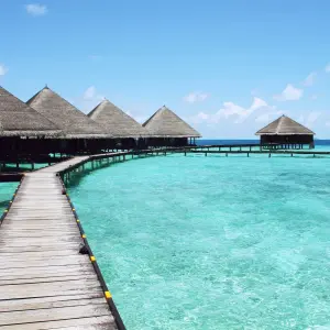 beach-vacation-water-summer.webp