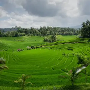 clouds-cloudy-agriculture-farm.webp