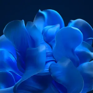 BG.webp