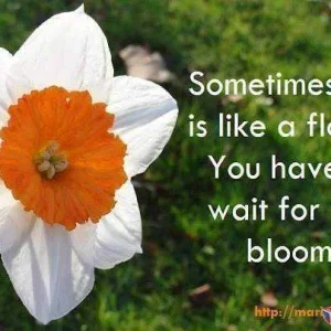 Sometimes...