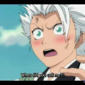 Shiro-kun-3-toshiro-hitsugaya-fangirls-3-38160764-719-450