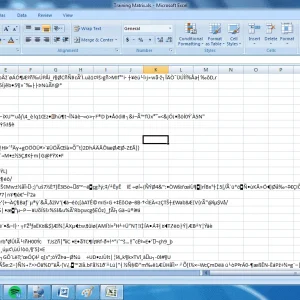 Excel2