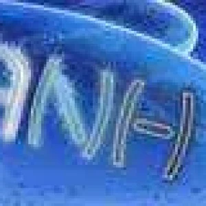 Final Siggy