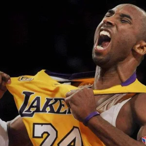 Black Mamba