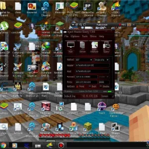 IHS Settings2