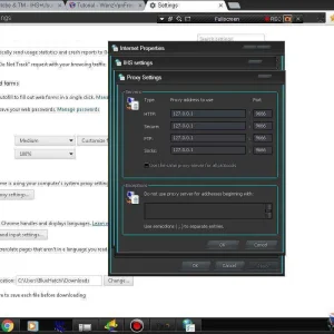 ChromeSettings1