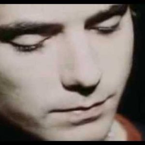glycerine - bush