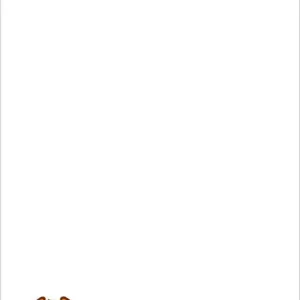 TMPDOODLE1480141362905