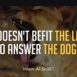 Imam Shafii