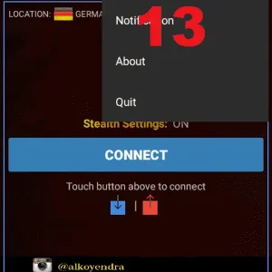 13