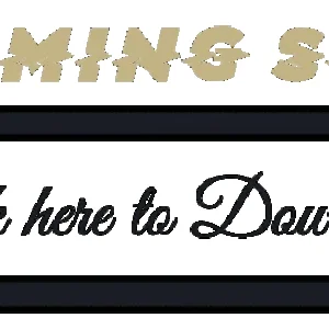 Download_VIP_Gaming_Server
