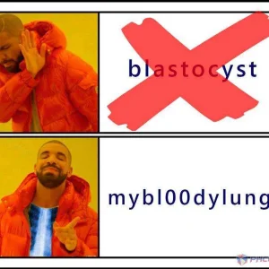 Bloody