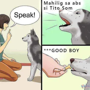 Wikihow Dog
