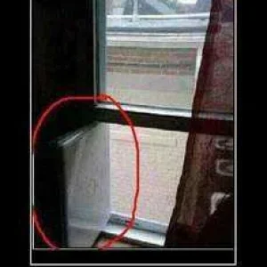 Funny Memes1
