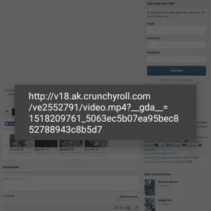 Video detector