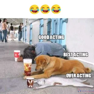 Real epic