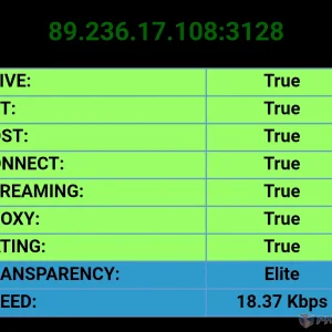 Remote Proxy