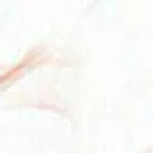 PicsArt_03-17-03.23.41