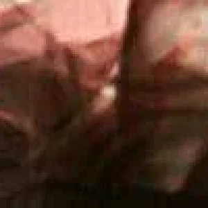 PicsArt_03-17-03.26.33