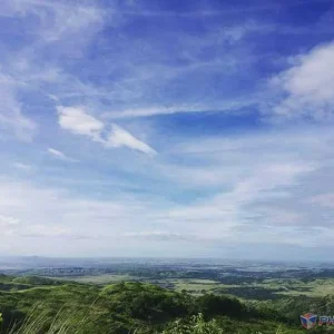 Relaxing View
