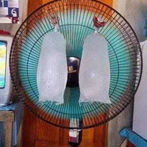 Summer feels.jpeg
