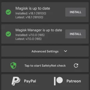 Screenshot_2019-03-11-01-07-38-570_com.topjohnwu.magisk.png