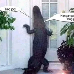 Buwaya.jpg