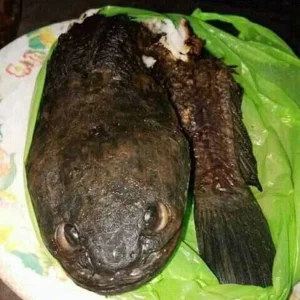 How To Cook Your Dragon.jpg