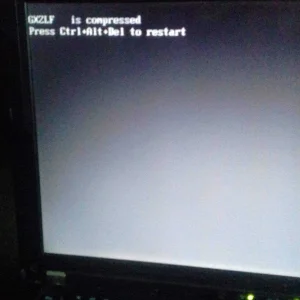 20190409_172142.jpg