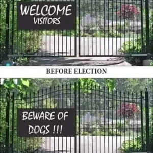 100% true.jpg