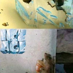 Ice Age 😂