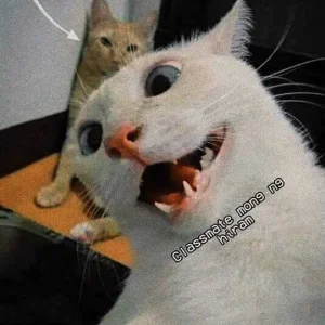 Cute😄