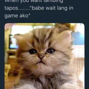 When you want Lambing 🙄