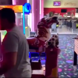 Boxing-Machine.mp4